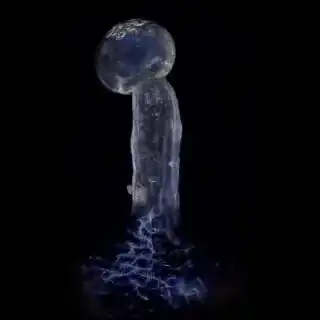 Bloom Seed Co - Dulce Bx x12 Regular