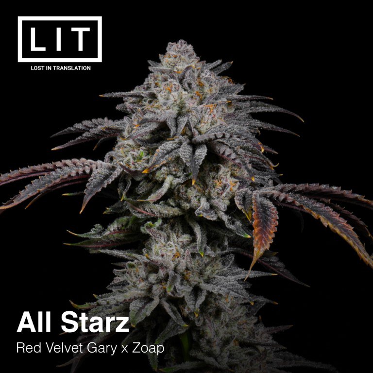 Lit Farms – All Starz x12 Fem + Pack de Regalo