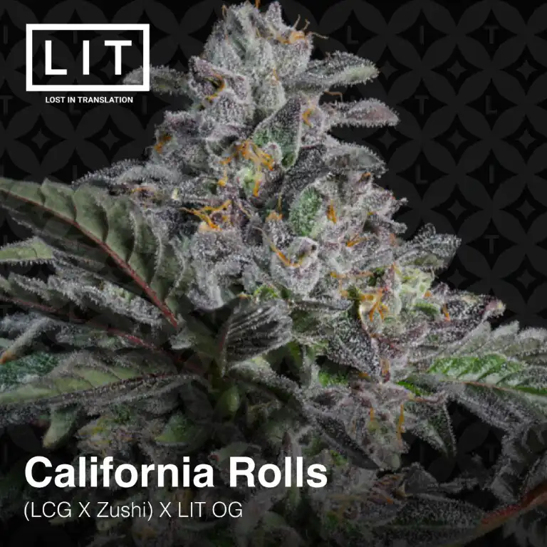 Lit Farms - California Rolls x12 Fem