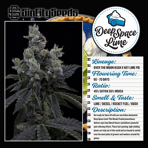 Sin City Seeds – Deep Space Lime x7 Fem + Freebie