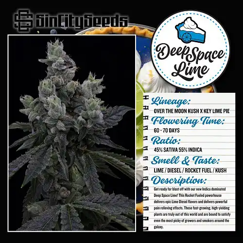 Sin City Seeds - Deep Space Lime x7 Fem + Freebie