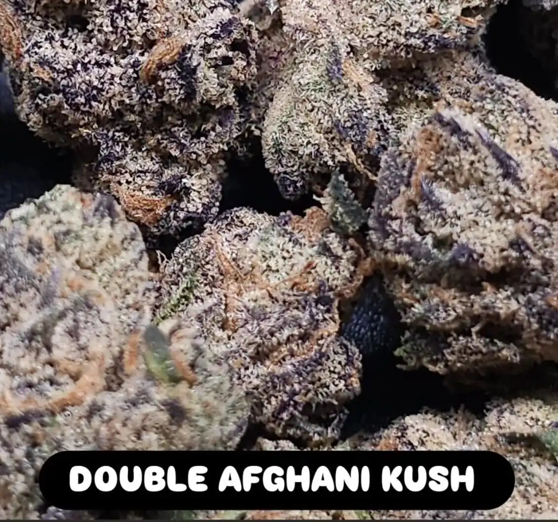 In House Genetics - Double Afghani Kush x12 Fem + Freebie