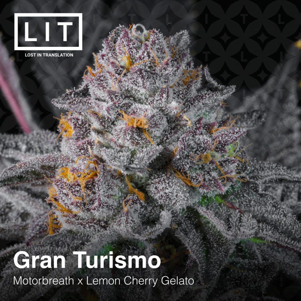 Lit Farms – Gran Turismo x6 Fem + Freebie Pink Lemonade