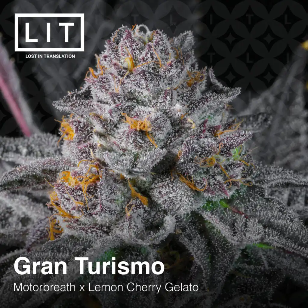 Lit Farms - Gran Turismo x6 Fem + Freebie Pink Lemonade