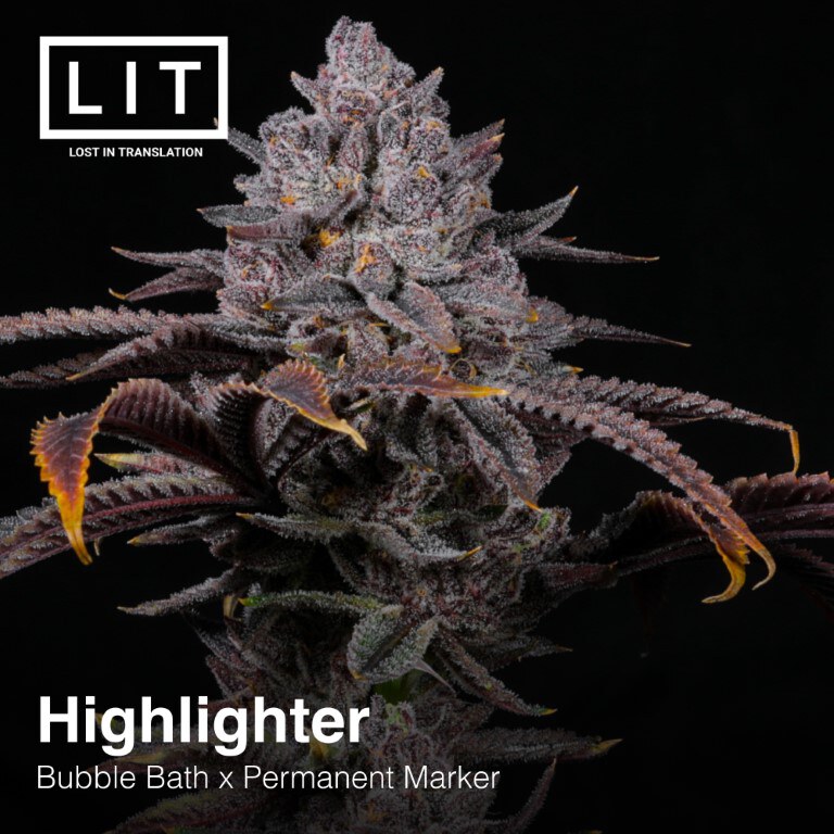 Lit Farms – Hightlighter x12 Fem