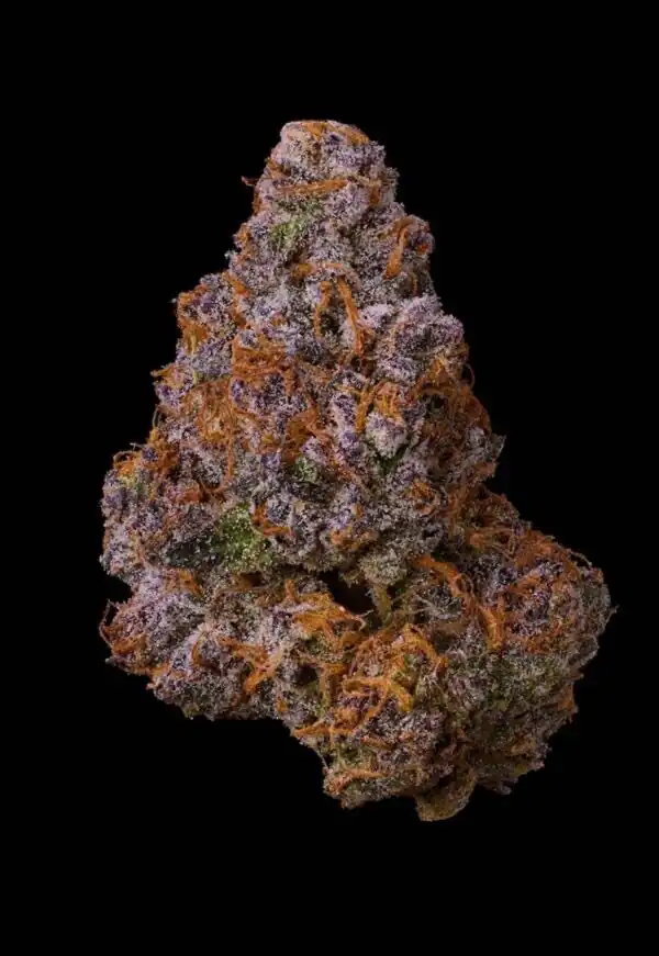 Seed Junky Genetics - Bubblegum Marker x10 Fem