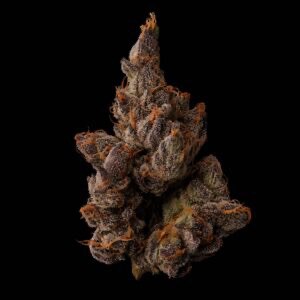 Seed Junky Genetics – Permanent Gas x10 Fem