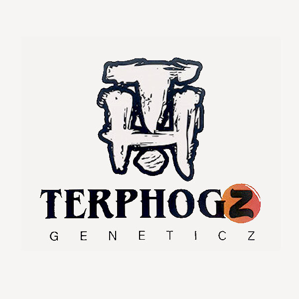 Terphogz – Truffle Pizza x10 Reg