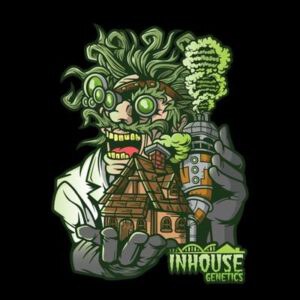 In House Genetics – Triple Kush Breath  x12 Fem + Freebie