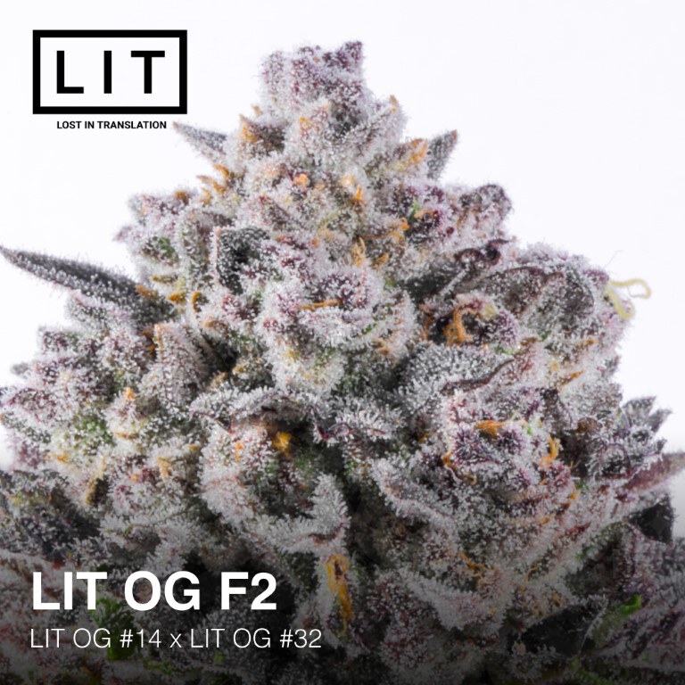 Lit Farms – Lit Og F2 x6 Fem