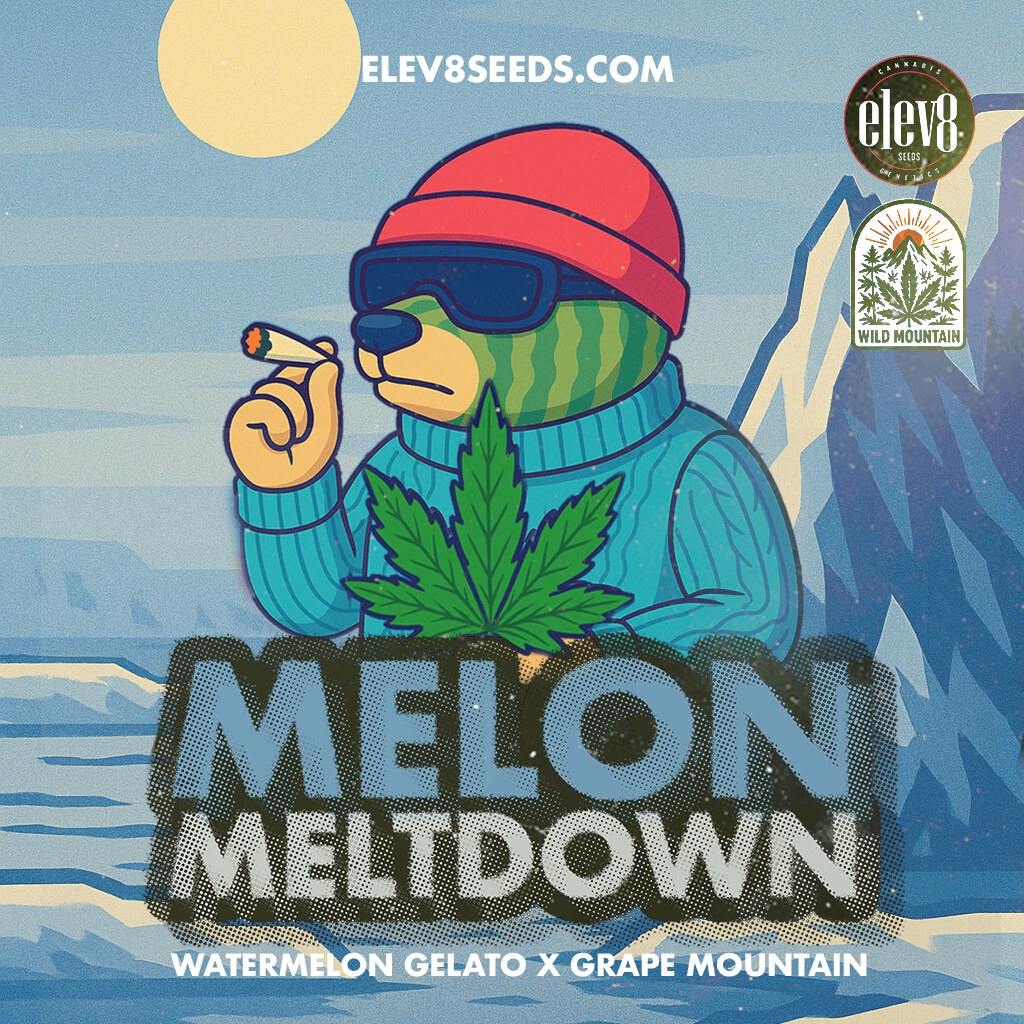 Elev8 Seeds – Melon Meltdown x3 Fem