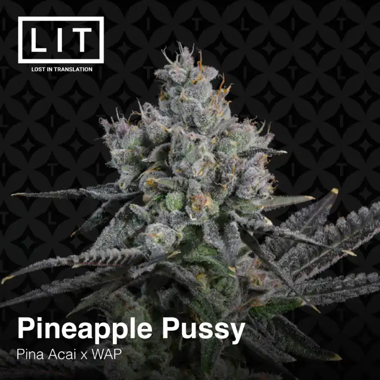 Lit Farms - Pinneaple Pussy x12 Fem + Freebie