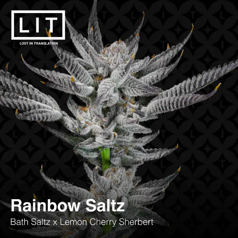 Lit Farms - Rainbow Saltz x12 Fem + Freebie