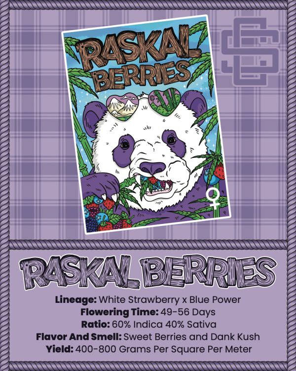 Sin City Seeds – Raskal Berries x7 Fem + Freebie