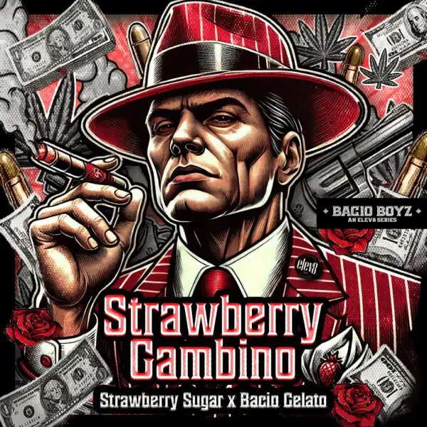 Elev8 Seeds - Strawberry Gambino x3 Fem