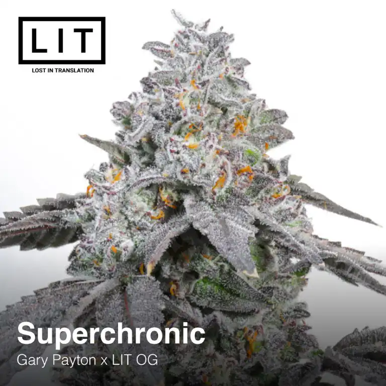 Lit Farms - SuperChronic x 6 Fem
