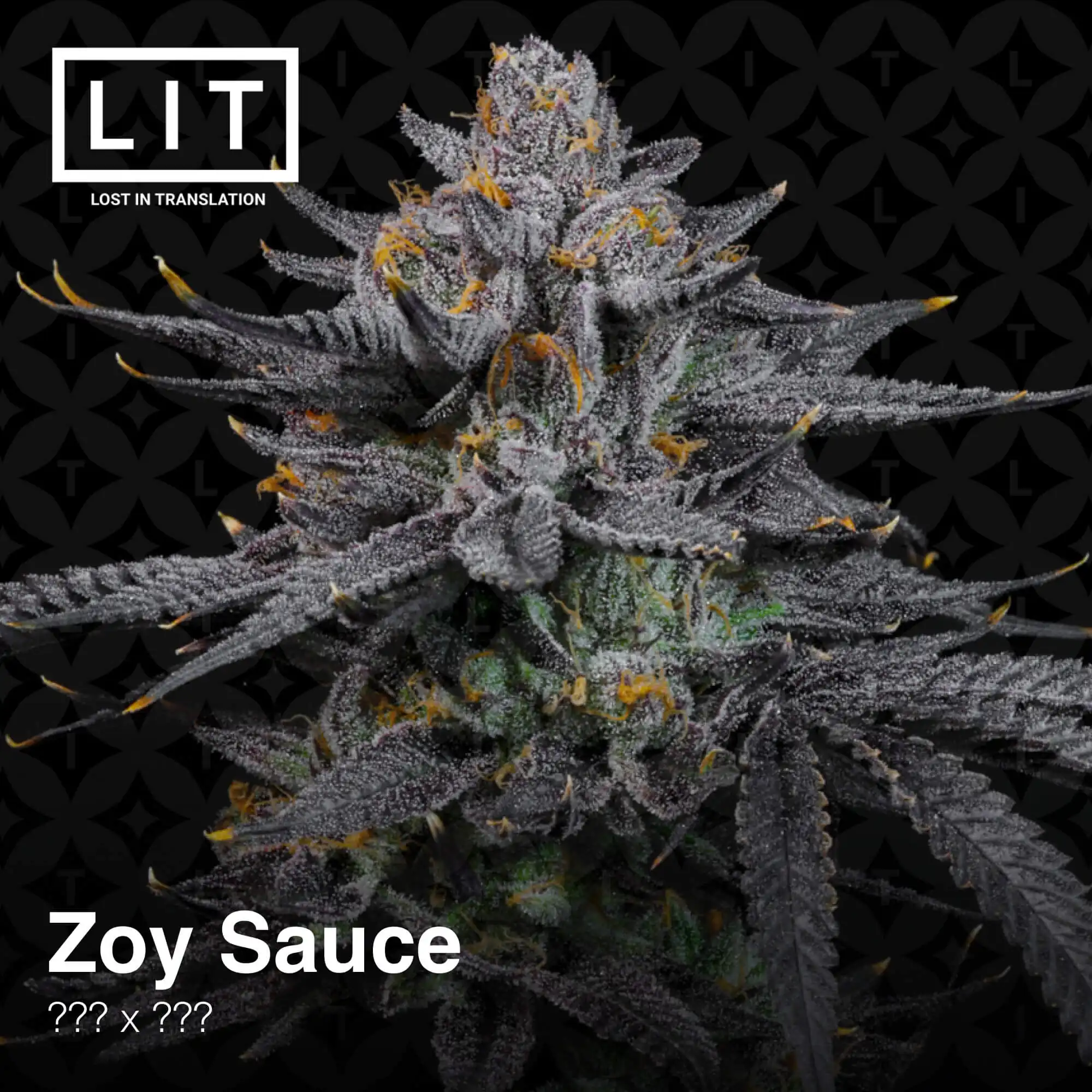 Lit Farms - Zoy Sauce x6 Fem