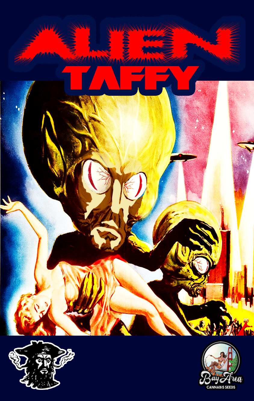 Tiki Madman – Alien Taffy x6 Fem