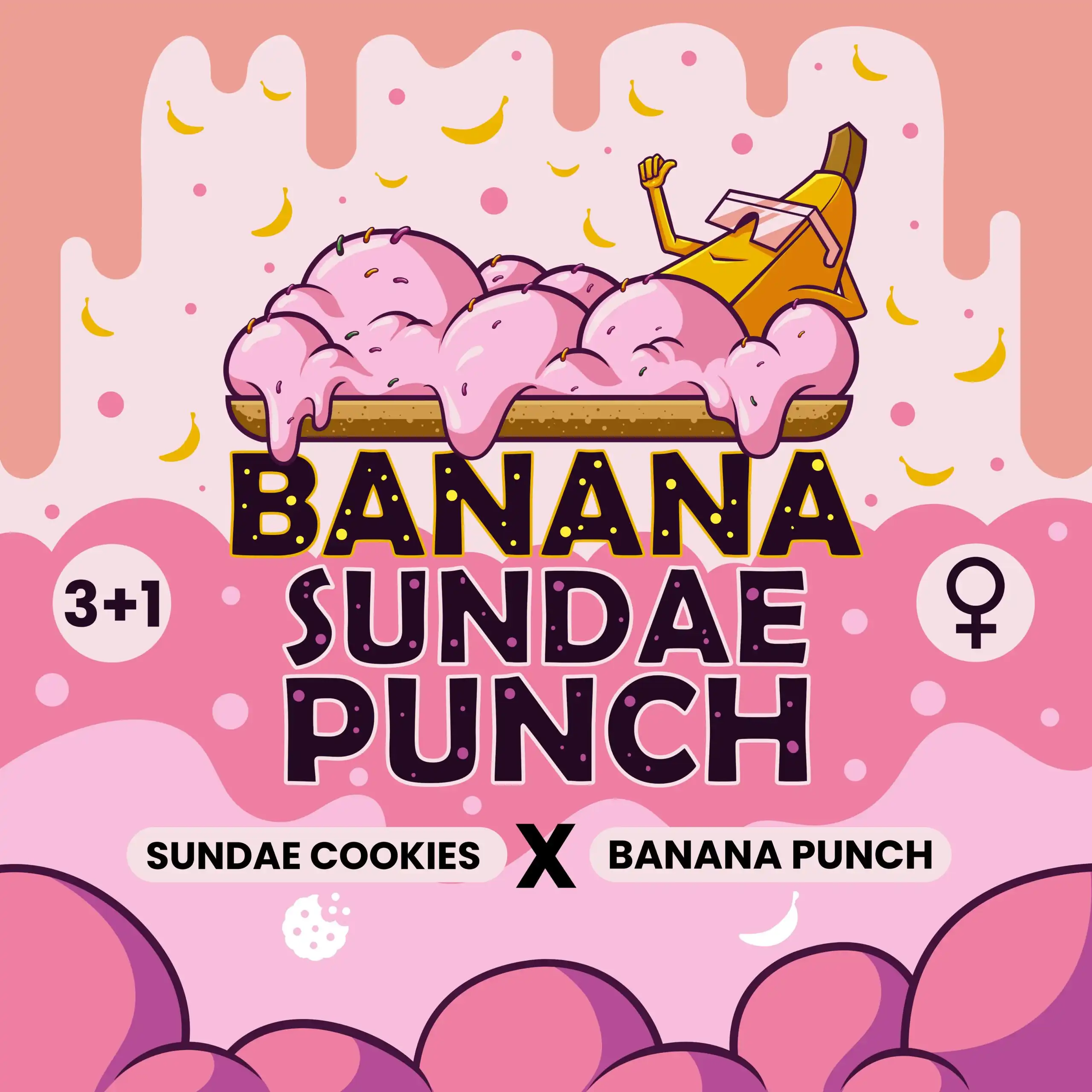 Small Batch Collects -Banana Sundae Punch 3+1 Fem ( Last Pack )