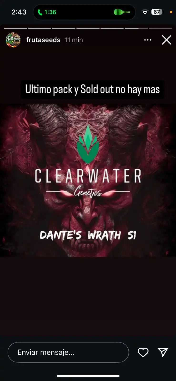 Clearwater Genetics - Dante’s Wrath S1 x12 Fem