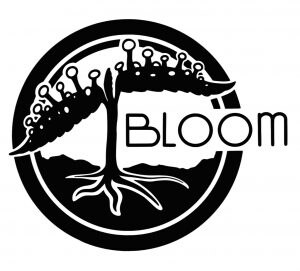 Bloom Seed Co – The Hive x12 Fem