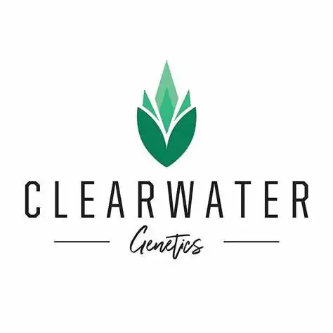 Clearwater Genetics - (OzMelon x Papaya ) x Dante's Wrath x12 Fem
