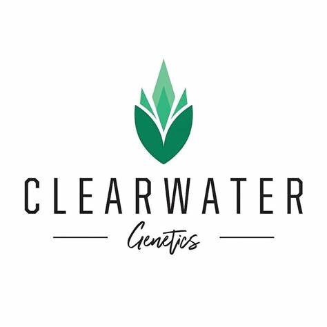 Clearwater Genetics – Bio Freak(OZ Melon x Papaya (45 Day Pheno) x Blue Nerds ) x12 Fem