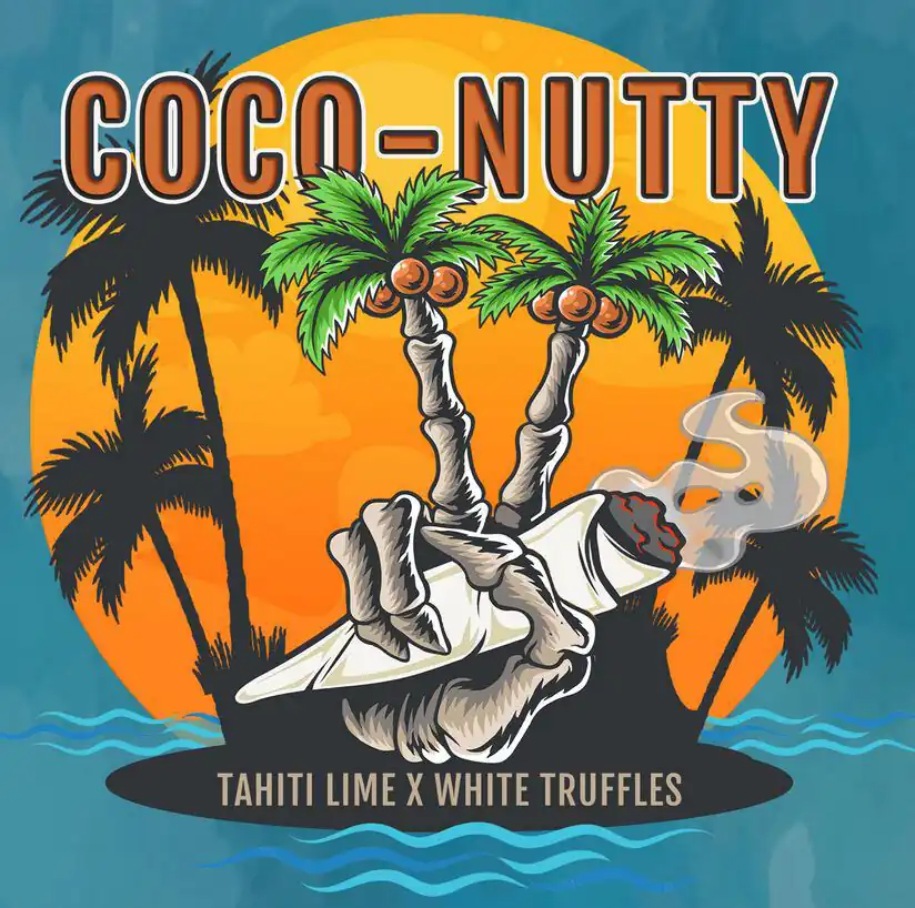 Elev8 Seeds - Coco-Nutty x3 Fem