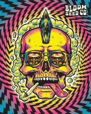 Bloom Seed Co - Garlic Fumez x12 Reg