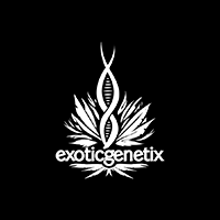 Exotic Genetix