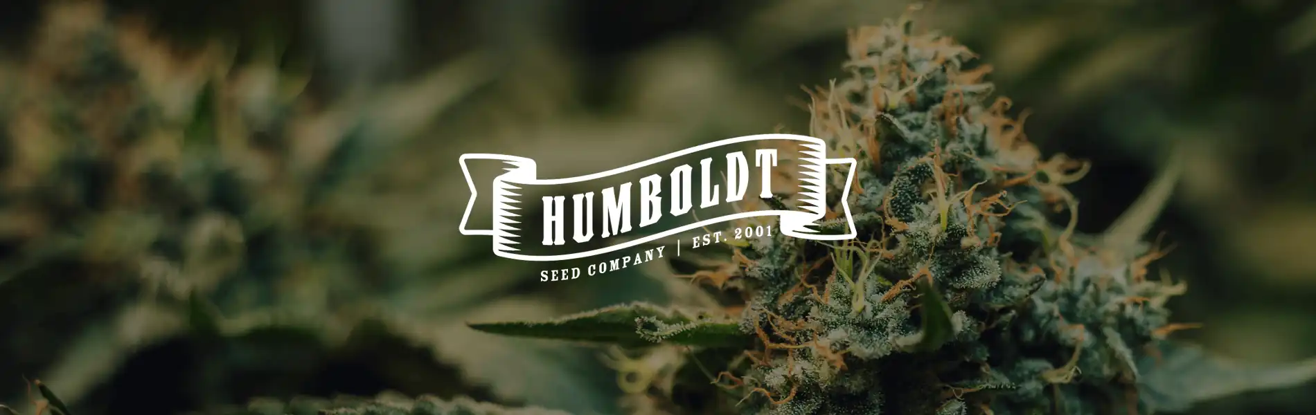 Humbold Seed Co