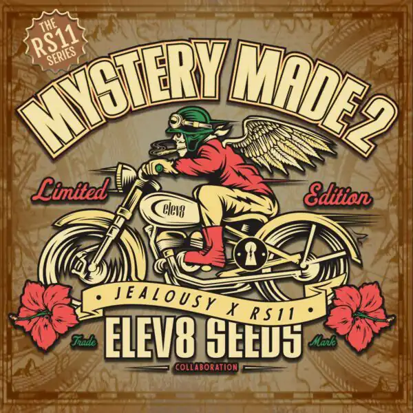 Elev8 Seeds - Mistery Made 2 x3 Fem
