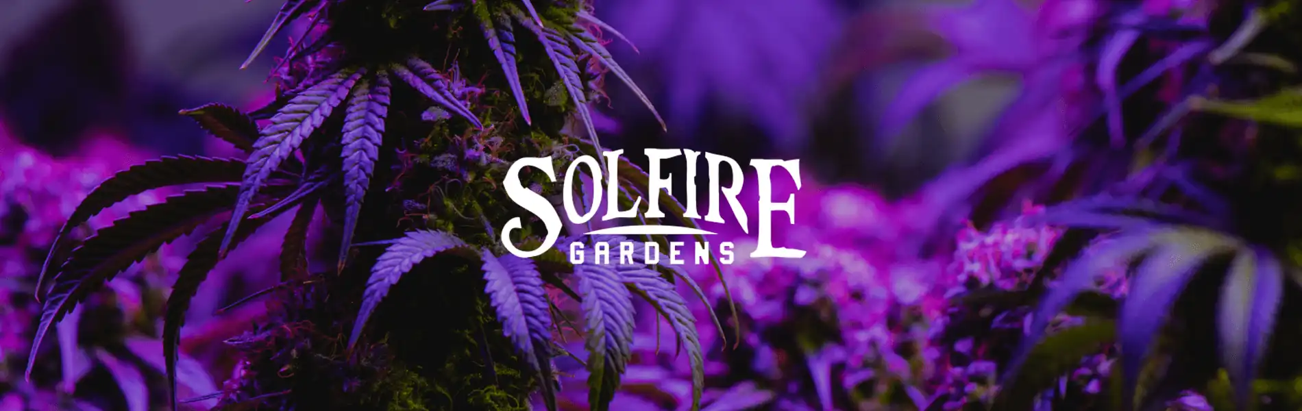 Solfire Gardens