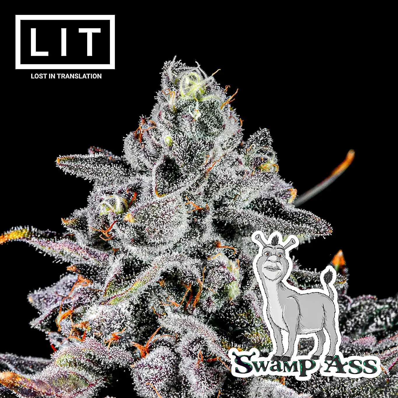 Lit Farms - Swamp Ass x6 Fem + Freebie
