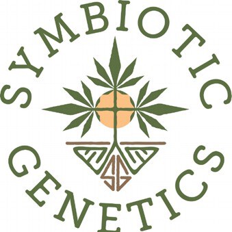 Symbiotic Genetics Spanish Honey  x6 Fem