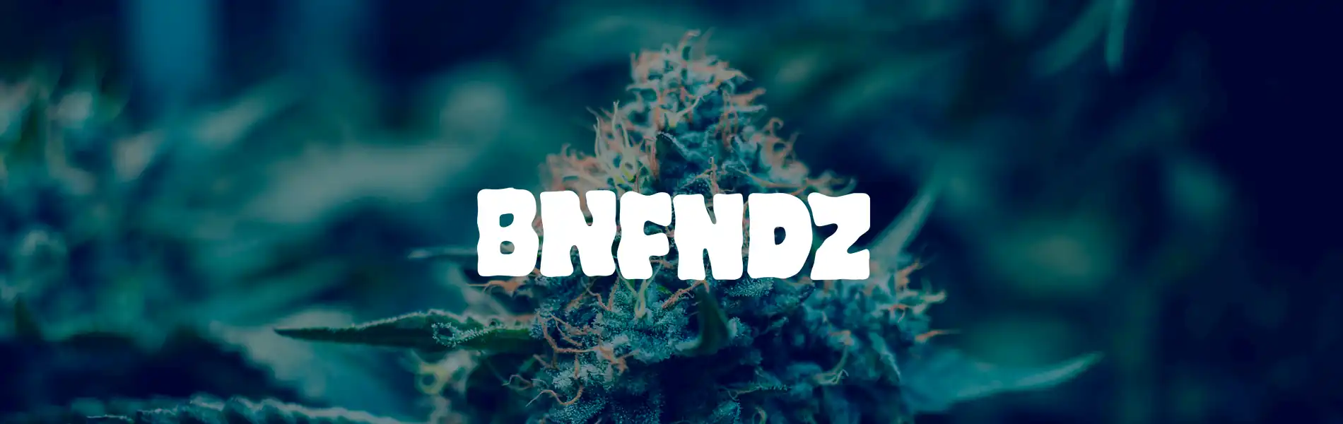 Bnfndz