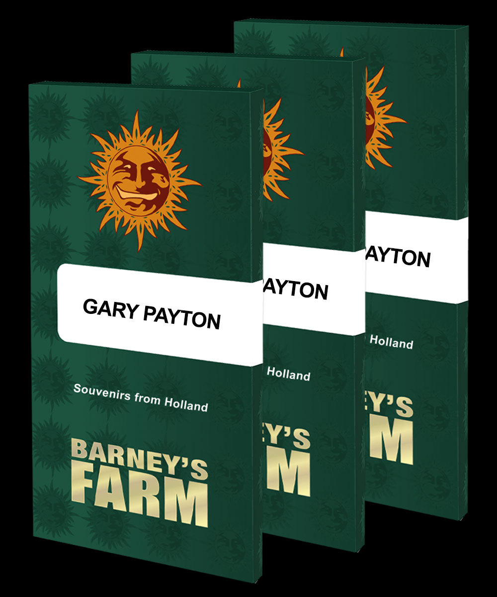 Barneys Farm – Gary Payton x5 Fem