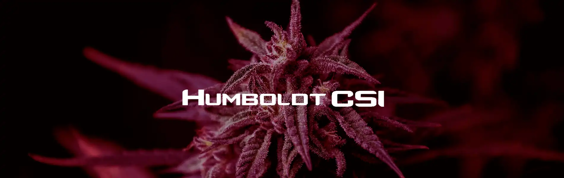 Humboldt CSI