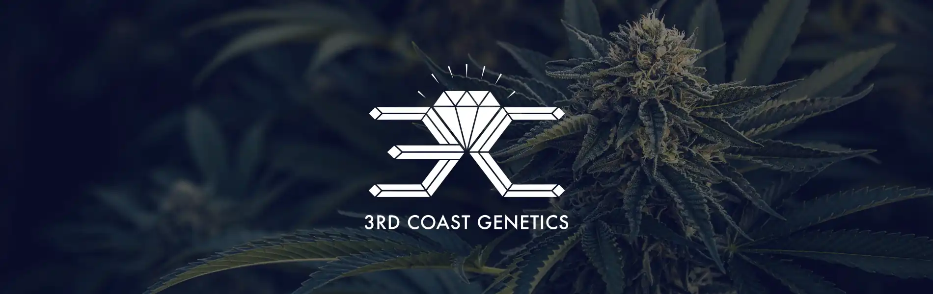 3rd Coast Genetics