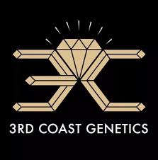 3rd Coast Genetics – Halloween x10 Regular