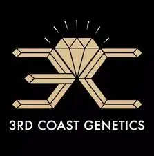 3rd Coast Genetics - Halloween x10 Regular