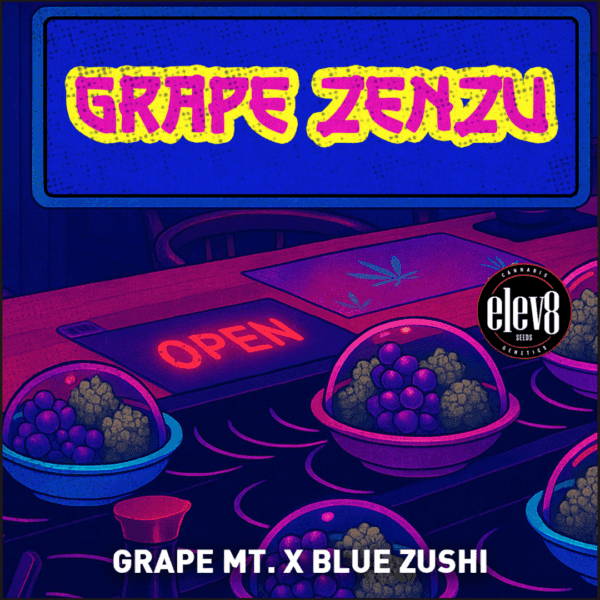 Elev8 Seeds – Grape Zenzu x3 Fem