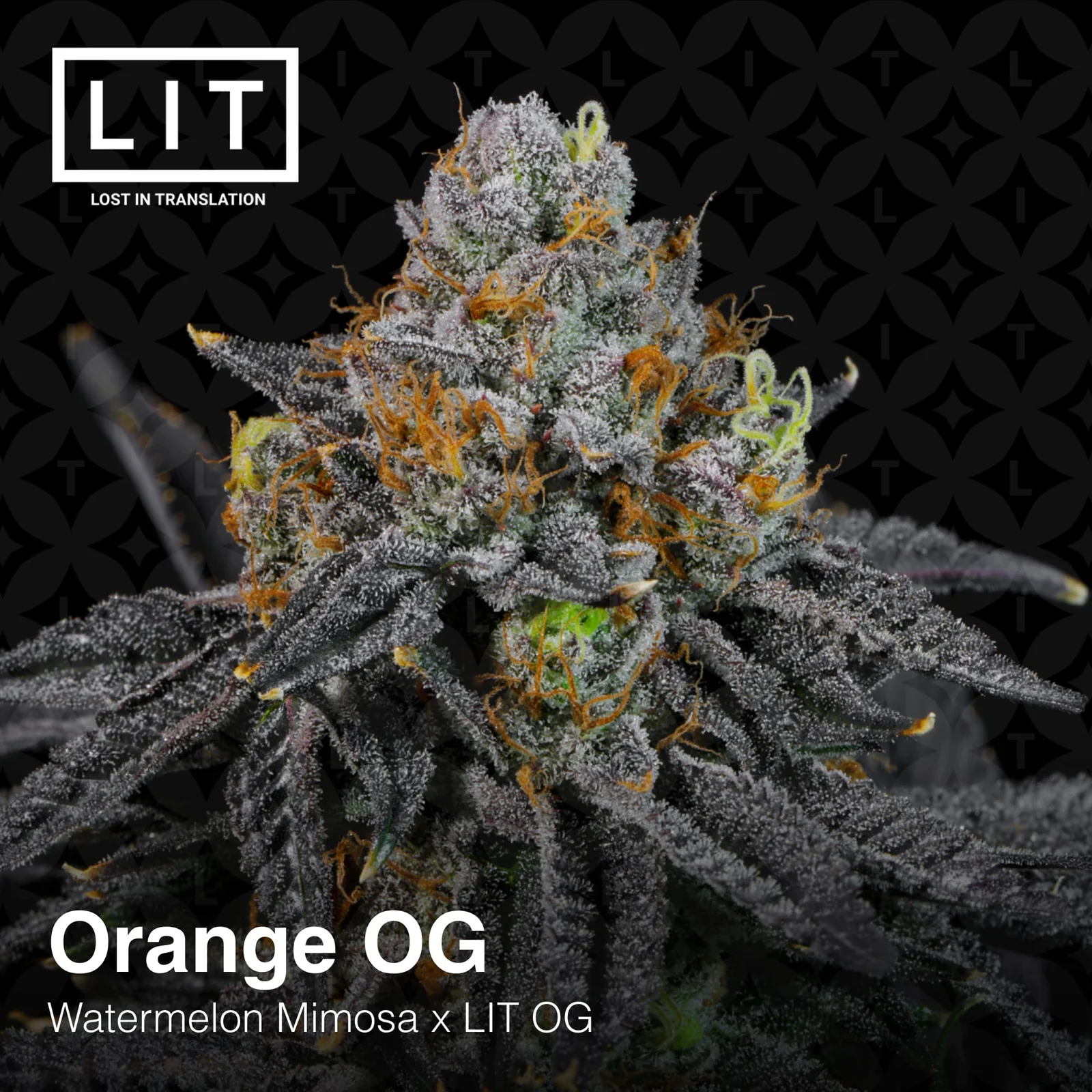 Lit Farms – Orange Og x6 Fem