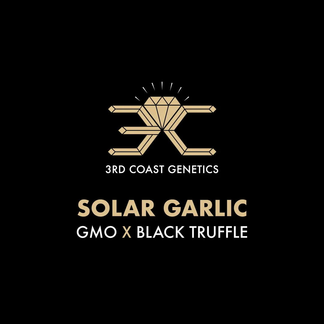3rd Coast Genetics - Solar Garlic x10 Regular
