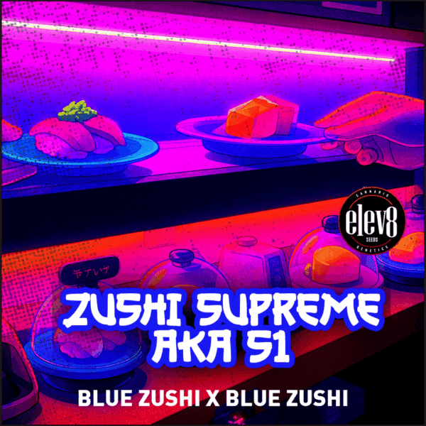 Elev8 Seeds - Zushi Supreme x3 Fem