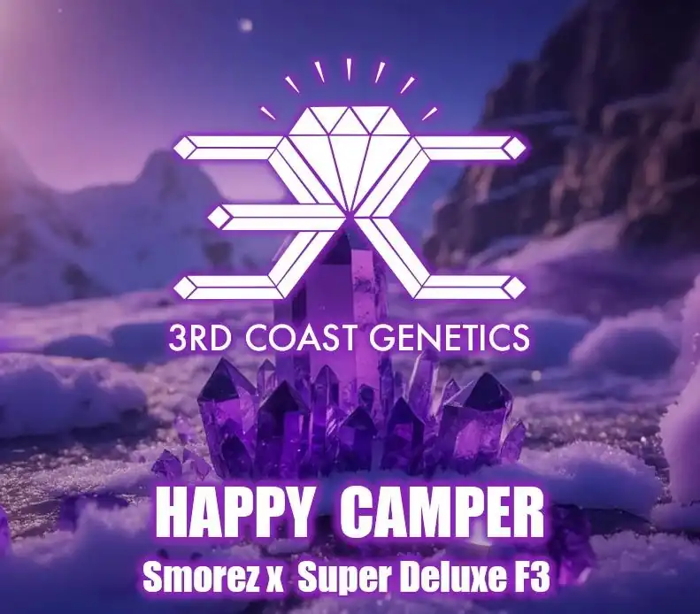 3rd Coast Genetics - Happy Camper x10 Regular