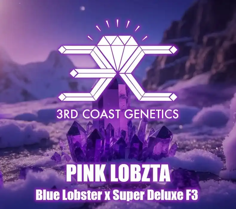 3rd Coast Genetics - Pink Lemonade  x10 Regular