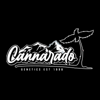 Cannarado