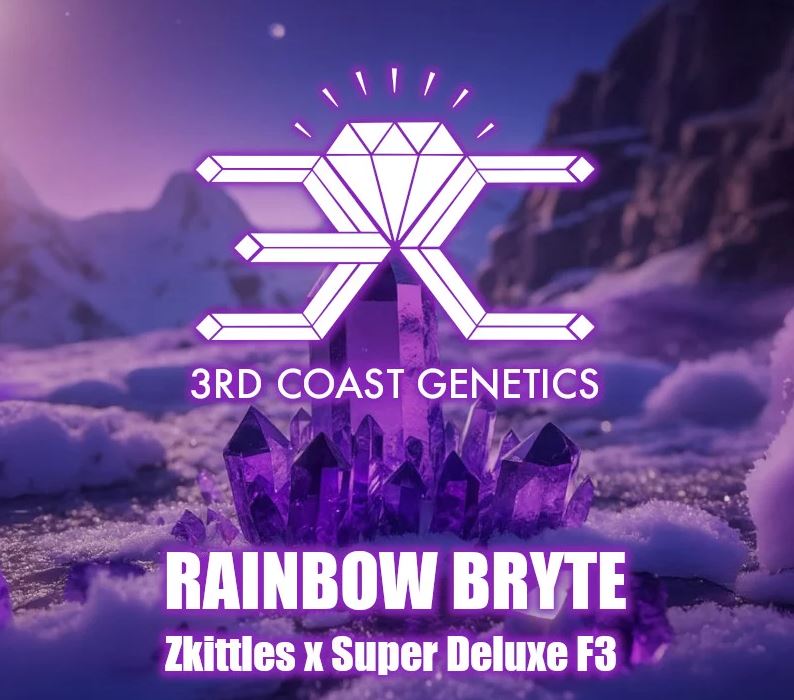 3rd Coast Genetics – Rainbow Bryte F4  x10 Regular