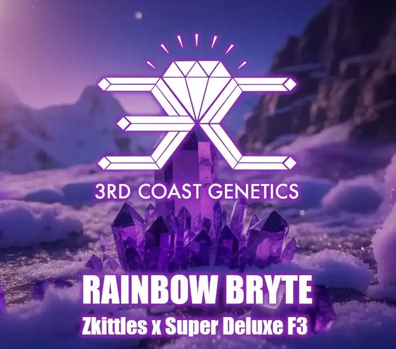 3rd Coast Genetics - Rainbow Bryte F4  x10 Regular